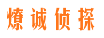 东兴市调查公司